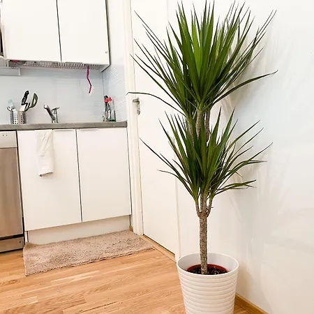 3bed 18 Mins By Metro To Centre דירה הלסינקי